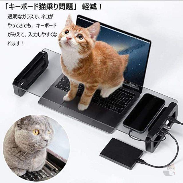 悲報、キーボード猫乗り問題がついに解決される