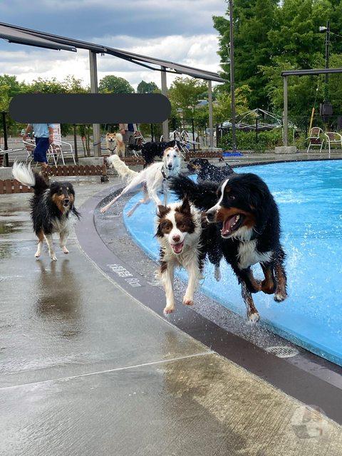 【朗報】楽しそうなイーヌ達の画像、見つかる