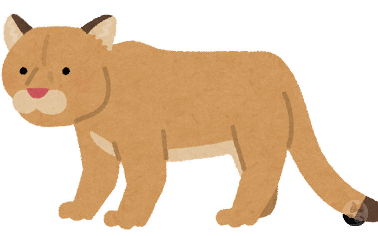 【画像】とても貴重なネコの原種と言われている生物の写真