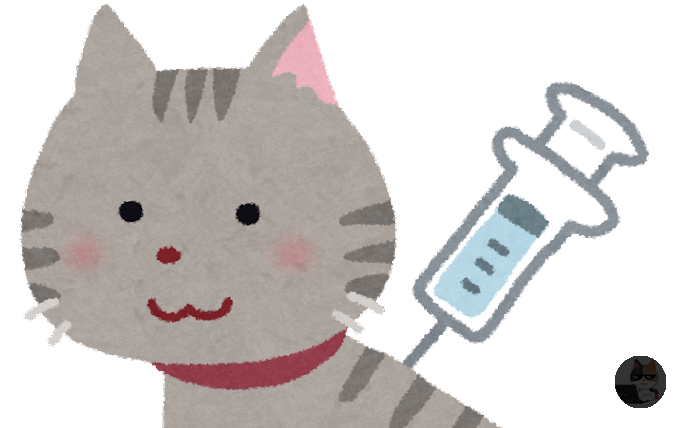 【動画】猫さん予防注射に向かう車内で「ヤバ~い」と鳴いていると話題に