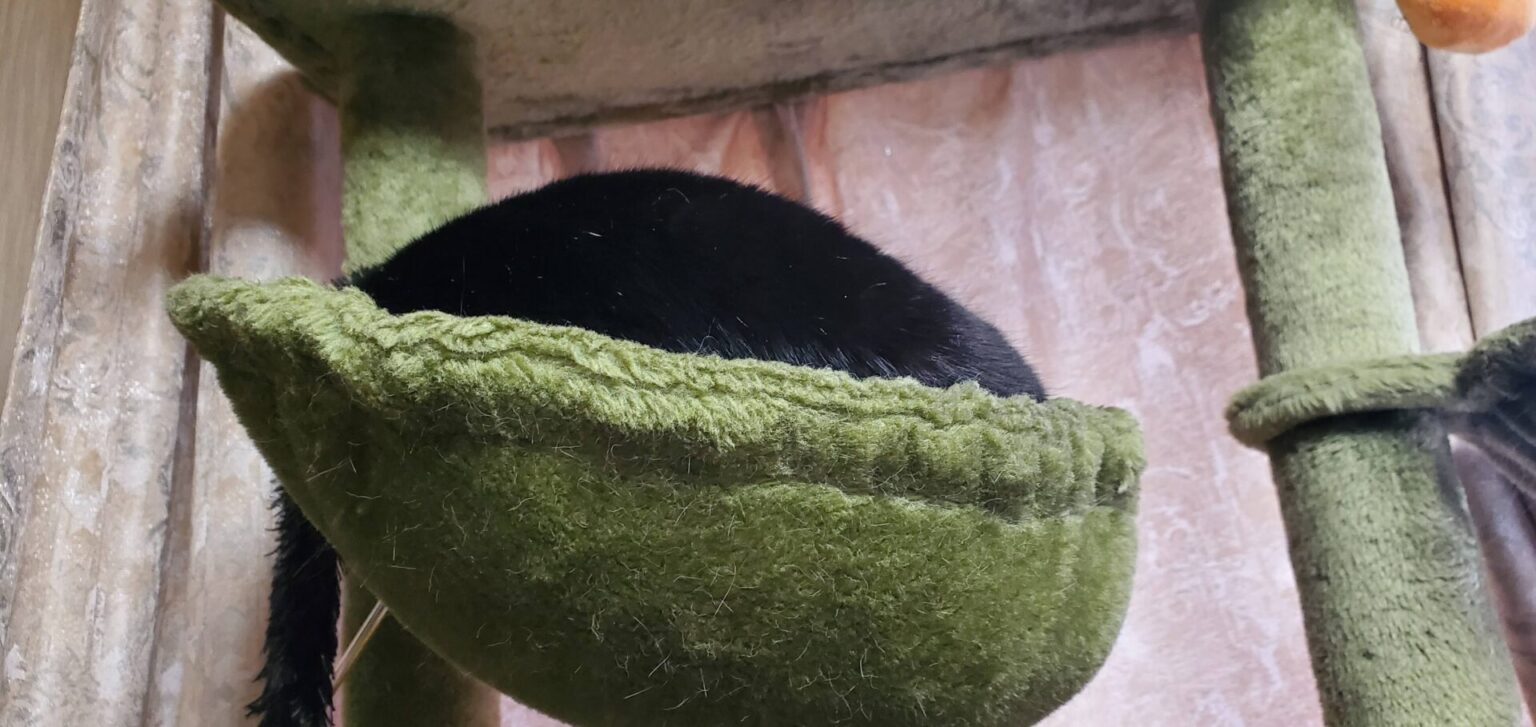 🔞ใซใใใซใใ็ปๅใใใ