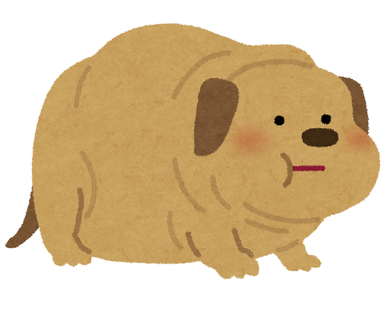 イッヌさん好き😳