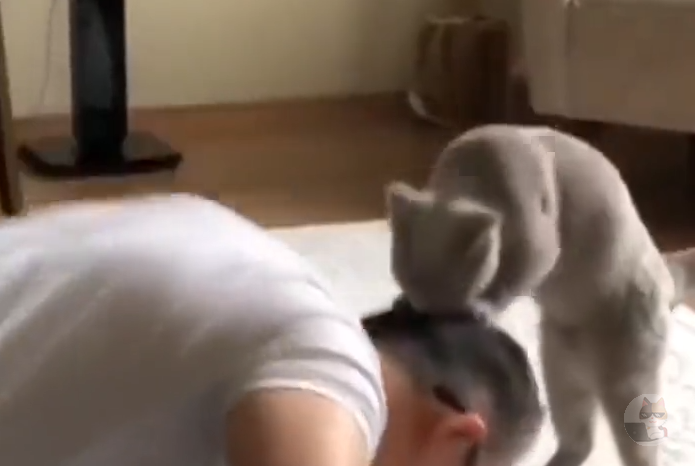 【動画】ネッコ、ご主人のトレーニングを手伝ってしまう