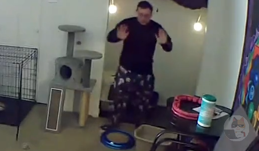 【動画】ネッコ、キチゲを解放しいきなりご主人様に襲い掛かる