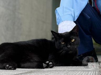 『ホームグラウンド⁉︎👮♂…