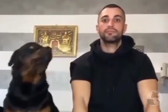 【動画】イッヌさん、かわいすぎる