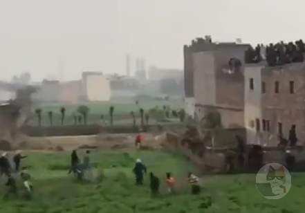 【動画】農村に大きめの猫が現れて大騒ぎw