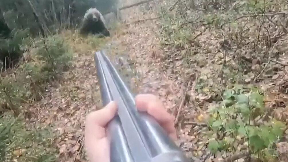 【動画】ショットガン持ち、ヒグマと遭遇してビビってしまう