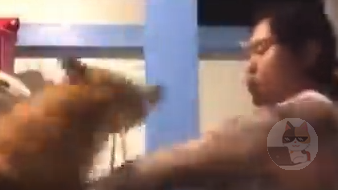 【動画】犬の攻撃を早業で避けまくるアニキがすごいと話題