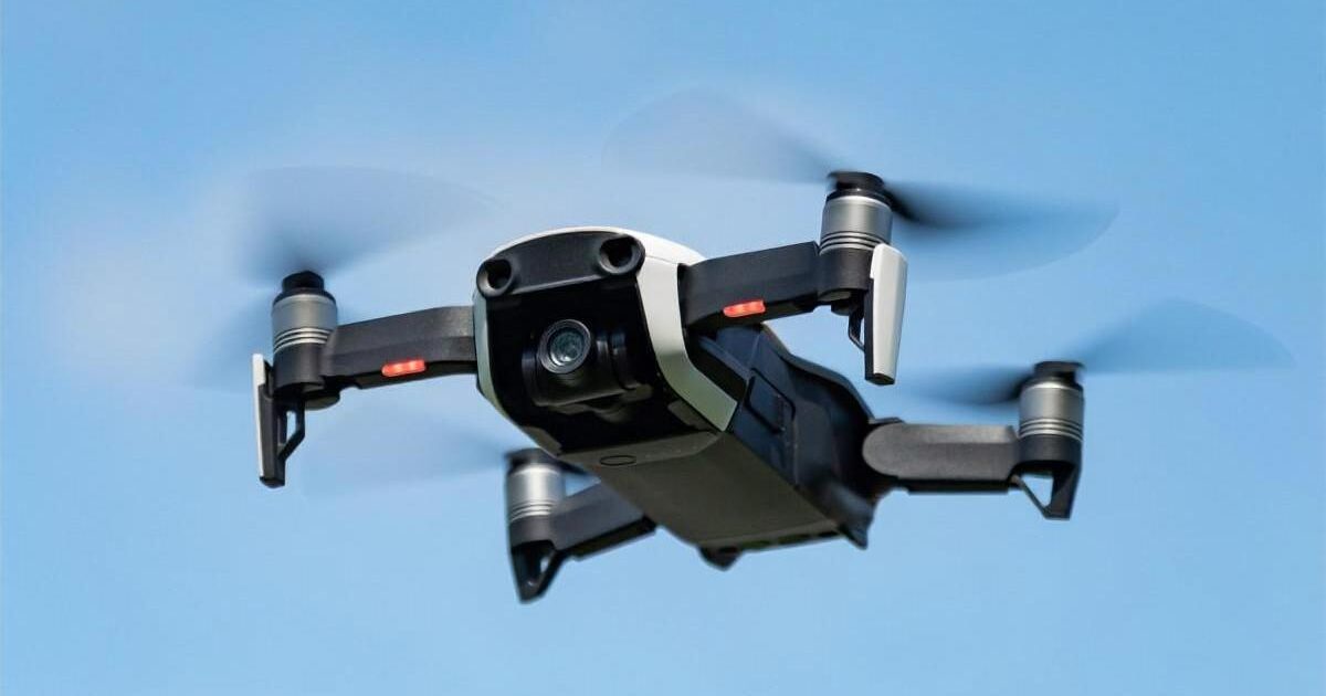 【動画】ドローンで撮影されたクジラ、めっちゃ壮大