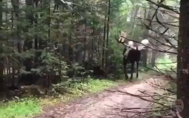 【動画】カナダのハイキングコース、ガチでヤバいｗｗｗｗｗｗｗｗｗｗｗｗｗｗｗｗｗｗｗｗｗｗ