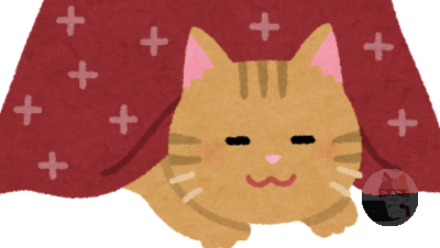 【画像】猫の体温高すぎやろ