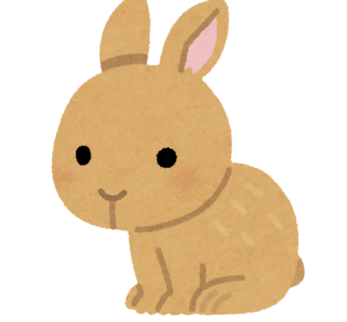 うさぎ🐇飼い始めたんやが