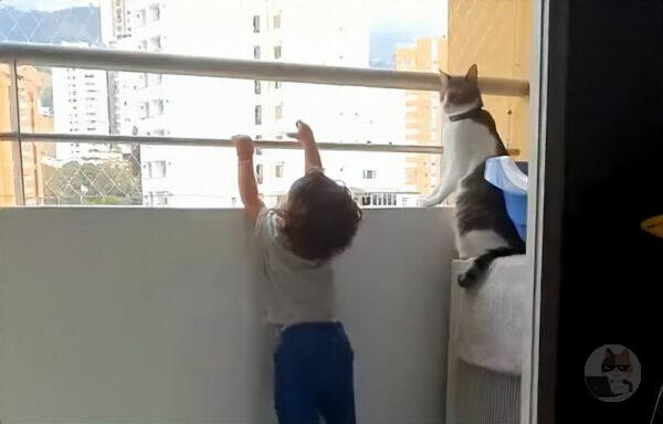 【動画】猫「危ないから手離せよバカが」
