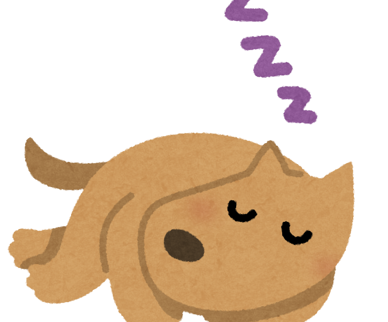 【悲報】イッヌ、就寝