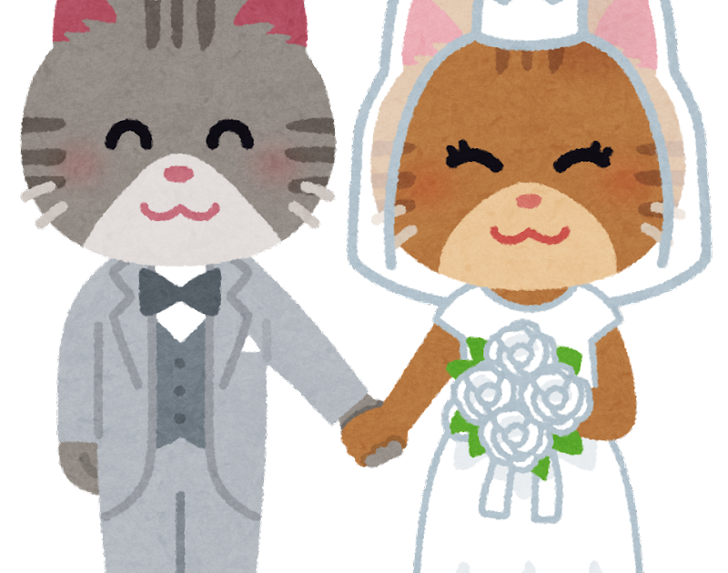 猫飼い始めたワイ、彼女なんていらないと悟る