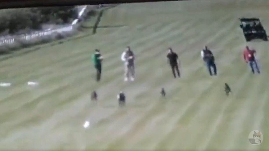 【動画】人間のエゴに付き合わされてたイッヌさん、一瞬で野性を取り戻してしまうwwwwwwwwww