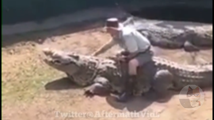 【動画】調子に乗ったワニの調教師さん、ワニにガブリと噛まれる