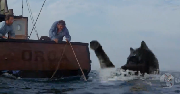 【動画】猫さん、ジョーズになる