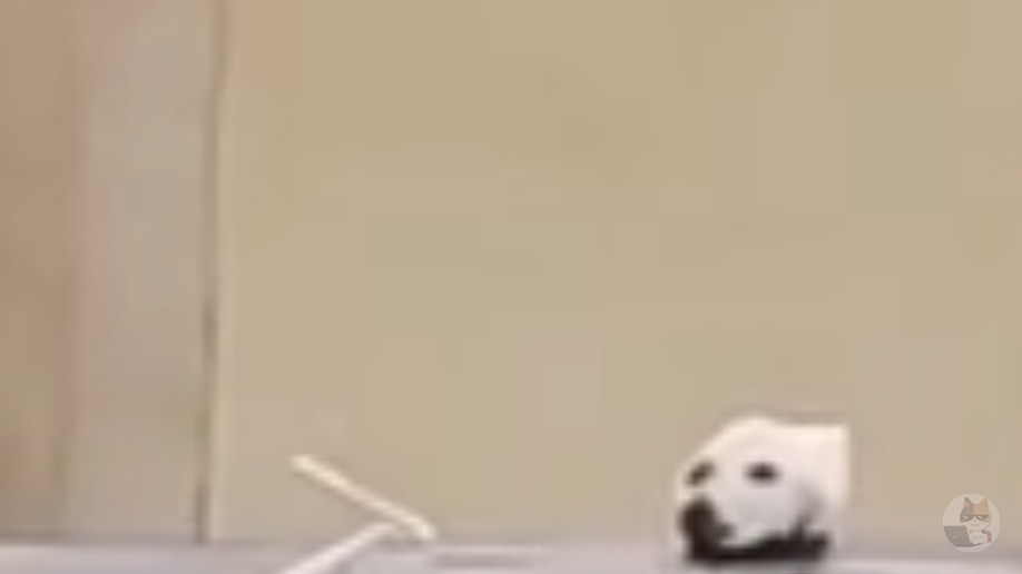 【悲報】ナマクビーヌ、見つかる…