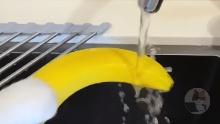 この猫ちゃんショート動画すこすこ