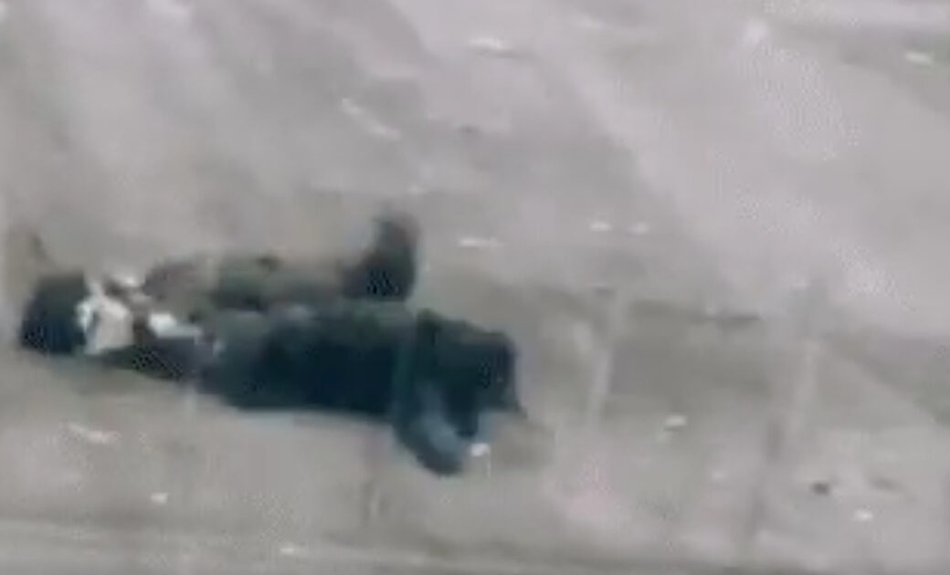 【衝撃】猫の喧嘩、とんでもないことになる