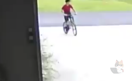 【動画】ガッキさん、他人の家に侵入し犬にイタズラをして逃亡wwwwwwwwwwwwww