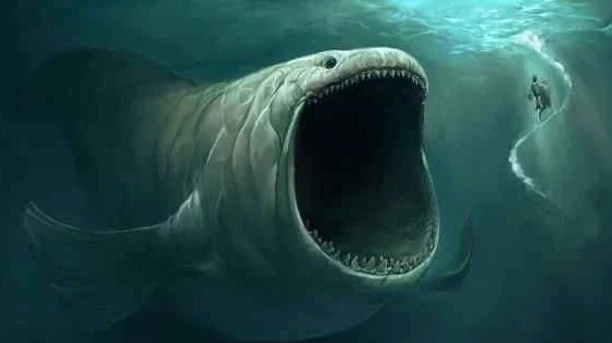 最近クジラの動画見すぎて海洋恐怖症になりかけてるんだが