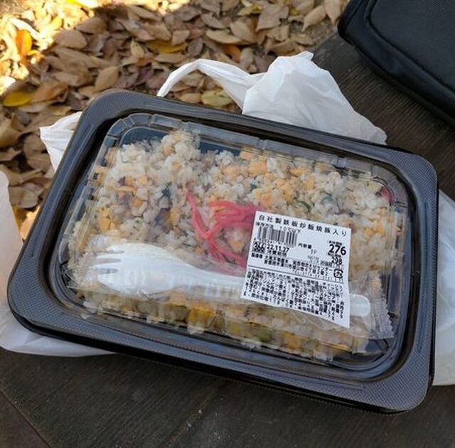 【画像】天気ええし公園で弁当食うで~😉