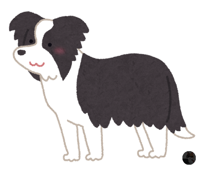 【gifあり】ボーダーコリーとかいう犬、かわいすぎる