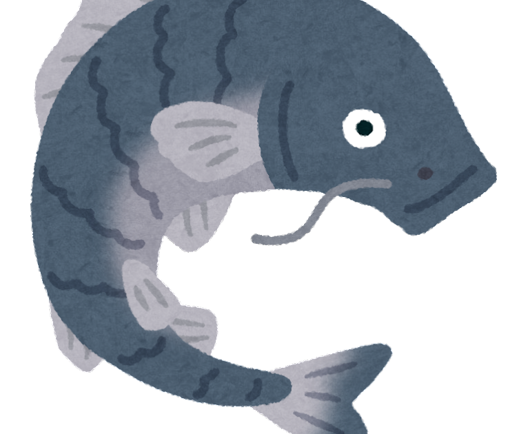 【画像】鯉の群れ、ガチでキモイwwwwwwwwwwwwwwwwwwwwwwwwwwww