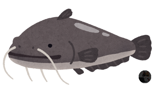 【画像】ワイがゴミ箱で飼ってる魚