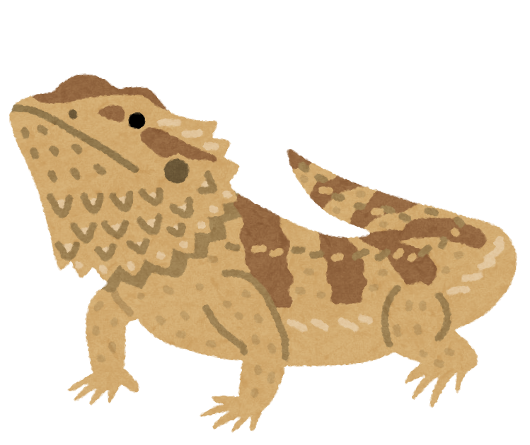 【動画】まんさん「トカゲが網に挟まってる・・・助けなきゃ」