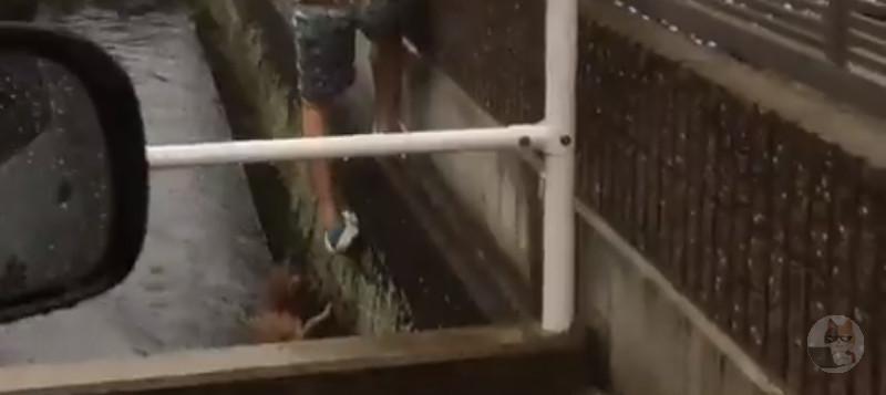 ずぶ濡れイッヌさん、イケメンお兄さんに助けてもらう😁