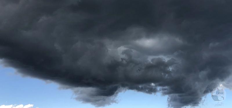 ダウンバーストが直撃した鳥の群れさん、300匹以上が墜落死する