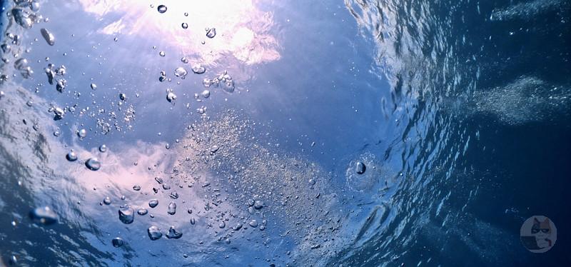 この画像みて怖いと思ったら海洋恐怖症らしい