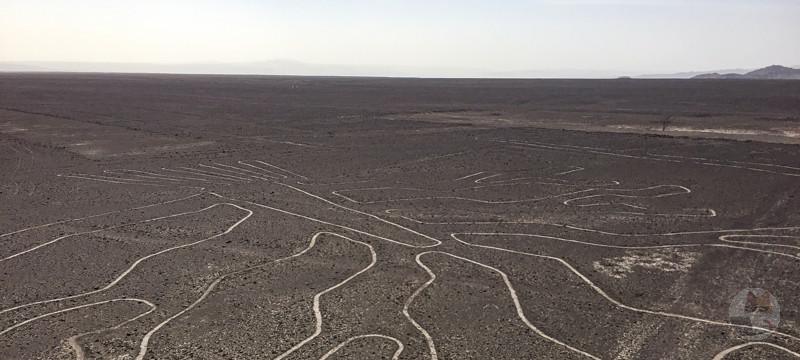 【朗報】山形大、またまた地上絵を発見wwwwwwwww