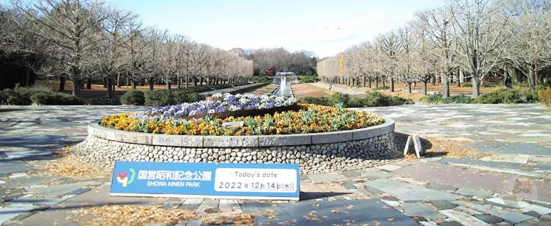 【画像】いい天気だから公園きた