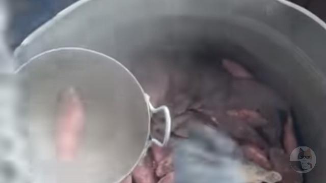 【動画】極寒の地で魚スープ作るショート動画、ガチで面白い