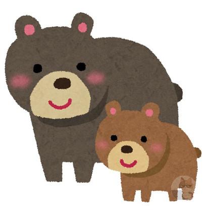 【動画】クマの親子さん、離れ離れになってしまう