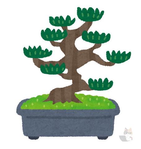 【画像】樹齢1000年の盆栽、あまりにもカッコよすぎると海外で話題になる