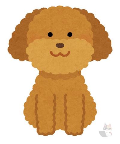 【画像】うちんちの犬どう?