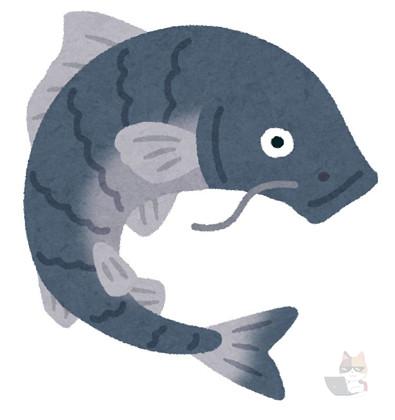 【動画】このコイでかすぎワロタwwwwwwwwwwww