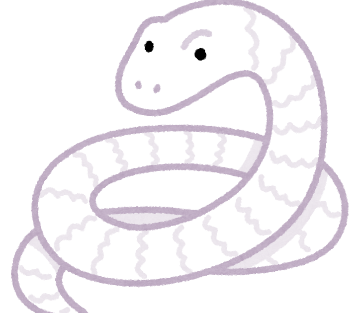 ペットのヘビくん、緩やかに成長中