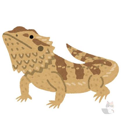 【画像】ぼくくん、クリスマスイブなのにコタツでトカゲとイチャつく🥰