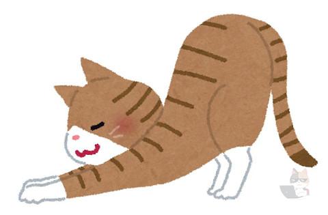 【悲報】猫、なでなでを強要