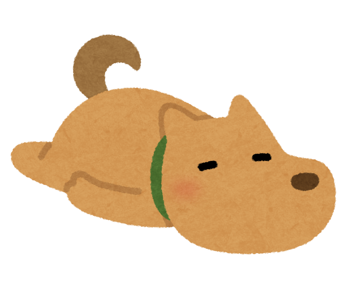 【速報】イッヌ、潜る