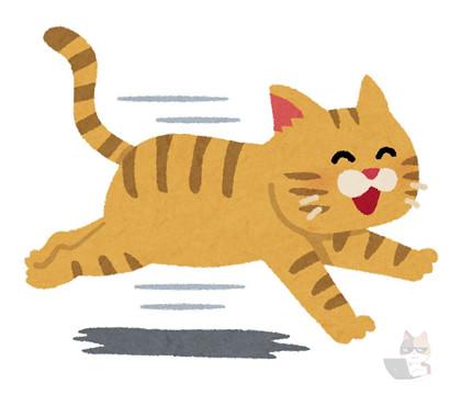 【動画】まんさん、虫が発生してパニックになるも猫に解決されて更にパニックになる