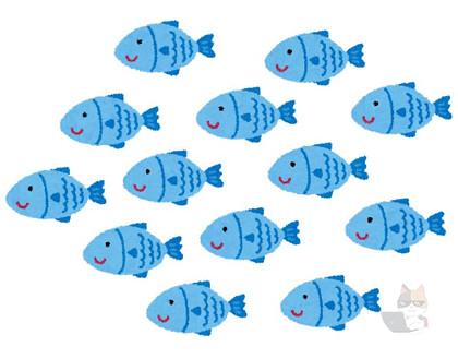 【悲報】中国の謎魚、上陸開始