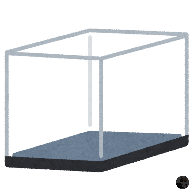 【画像】ナマズと鯉とフナ、エアレーションなしのゴミ箱で飼い始めて約1ヶ月経過